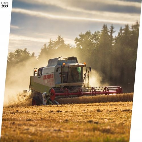 TRUX Karma ziarno dla ptaków zimujących 10kg sikorek wróbli gołębi zimowa na Arena.pl