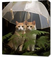 Obraz 60x70cm Podwójna Ochrona