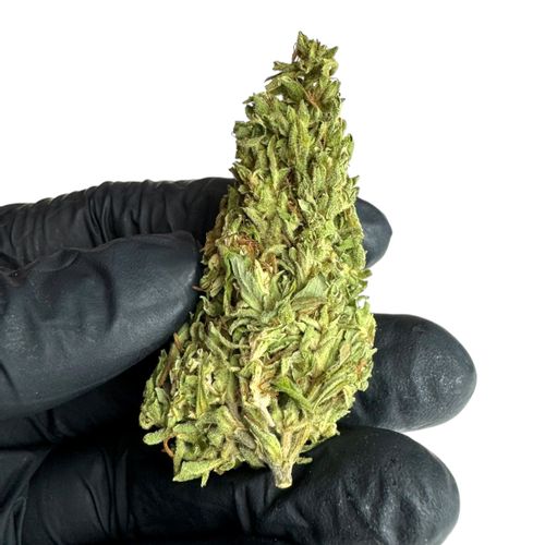 Susz konopny CBD Premafrost 10g na Arena.pl