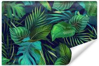 product-compare-54663554