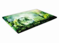 SZKLANA DESKA KUCHENNA 40x30 137b Kula ziemska