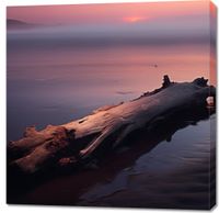 Obraz 90x90cm W Oczekiwaniu Na Koniec