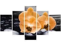 75CM 120 OBRAZ 5 ELEM POMARAŃCZOWE STORCZYKI ŚCIENNY DRUK