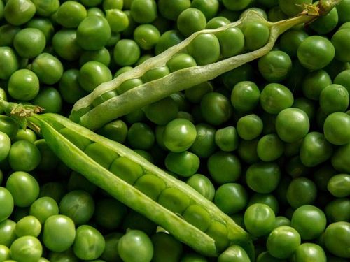 Nasiona Groch Ambrosia 50g na Arena.pl