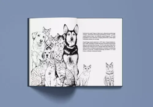 Historia pewnego kota na Arena.pl