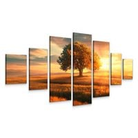 OBRAZ DO SYPIALNI SALONU ZACHÓD SŁOŃCA POLE DRZEWO KRAJOBRAZ LAS 3D 240x120