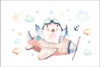 Tło PRODUKTOWE kulinarne Flat Lay na bloga insta