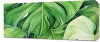 product-compare-59463488