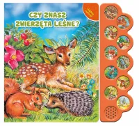Odgłosy zwierząt. Czy znasz zwierzęta leśne?