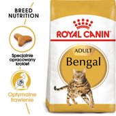 royal canin bengal adult 10kg