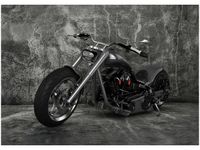 50X70CM CHOPPER OBRAZ POKOJU DREWNINE