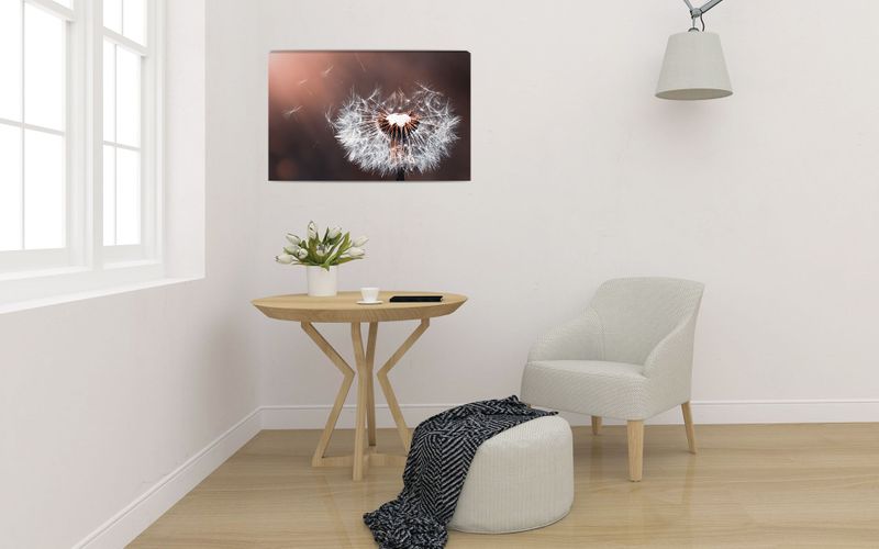 Foto obraz na płótnie "Dmuchawiec" 40x30 zdjęcie 1