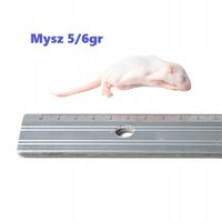 product-compare-61471941