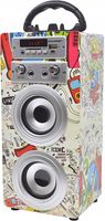 Głośnik przenośny Dynasonic E-025 wielokolorowy