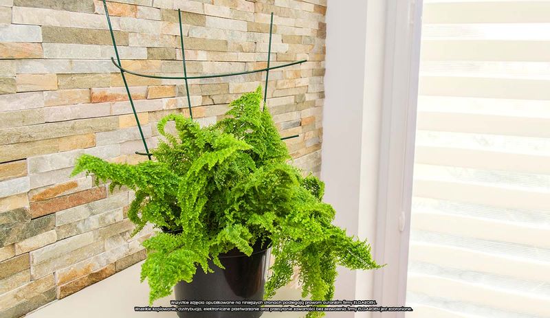 Podpora doniczkowa [2174], ELGarden zdjęcie 7