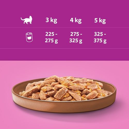 Whiskas Mix Smaków Mokra Karma Dla Kota Adult 24x400g Puszki Whiskas 9,6kg na Arena.pl