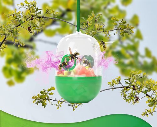 PUŁAPKA NA OSY OWADY 2SZT/KPL WABIĄCA MUCHY na Arena.pl