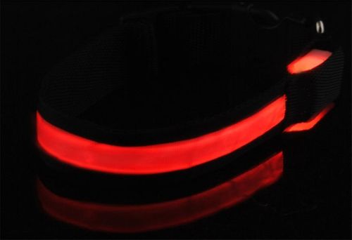 Obroża LED czerwona - S na Arena.pl