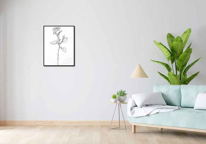 Plakat 50x65cm Kontur Róży zdjęcie 4