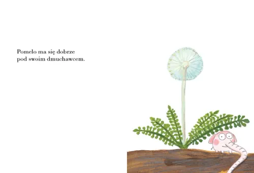 Pomelo ma się dobrze pod swoim dmuchawcem na Arena.pl