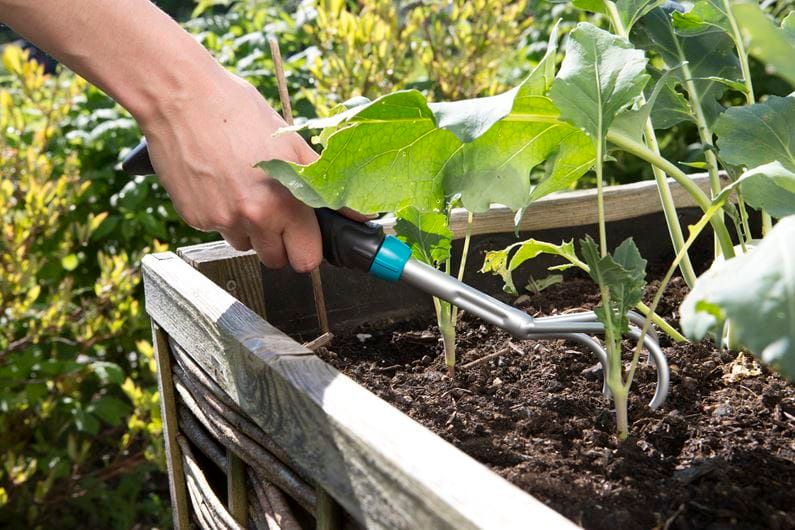 PAZURKI - HG-08957-20 zdjęcie 3