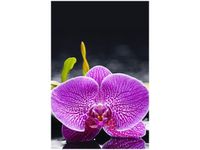 40X60CM ORCHIDEA OBRAZ