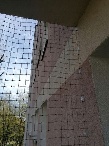 ZESTAW GRUBA SIATKA DLA KOTA NA ZACZEPY 2 x 1.5 m OCZKO 40 mm BEZ WIERCENIA na Arena.pl