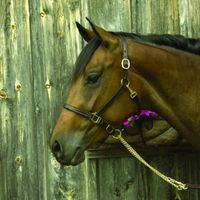 Pierścionek Damski Majorica 17218.01.1.913.010.1