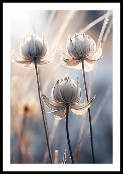 Plakat 40x60cm Poetycka Jesień zdjęcie 3