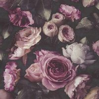 TAPETA WZÓR PIWONIE LIŚCIE WINYLOWA NA FLIZELINIE