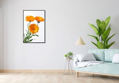 Plakat 61x91,5cm Słoneczne Kalendule na Arena.pl