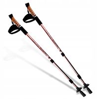 KS KIJE KIJKI KOREK NORDIC WALKING DO CHODZENIA