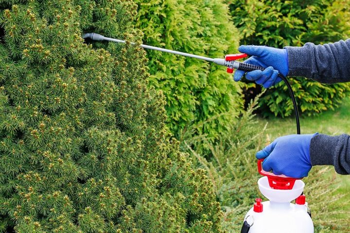 TARGET EMULPAR 940 EC TUJA I IGLAKI 250 ml zdjęcie 8