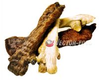 Rolo wołowe z sierścią - przysmak czyszczący zęby dla psa Vector-Food 1szt