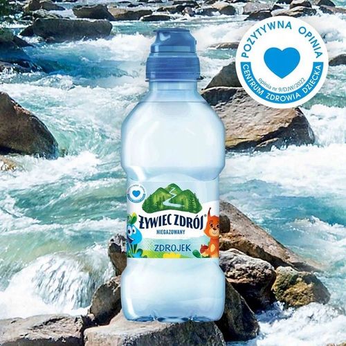 Żywiec Zdrój Zdrojek Niegazowany Woda źródlana ZESTAW 24 x 310 ml na Arena.pl