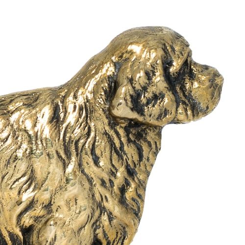 Clumber Spaniel - tabliczka - 1687 na Arena.pl