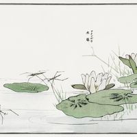 product-compare-59603800