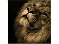 50X50CM ZŁOTY LEW OBRAZ