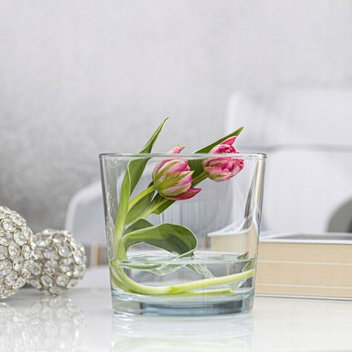 OSŁONKA SZKLANA Na STORCZYK Rośliny Doniczkę Przezroczysta H 16 cm na Arena.pl