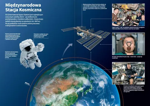 Fizyka 1. Nowa edycja. Podręcznik. Liceum i technikum. Zakres podstawowy na Arena.pl