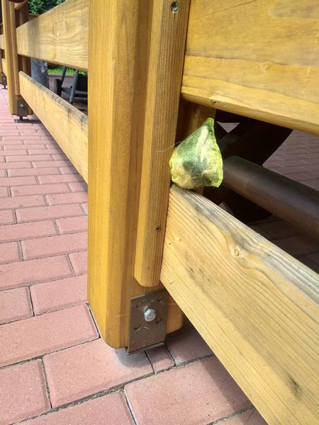 Odstraszacz Kunagone na koty dwupak skuteczny zdjęcie 5