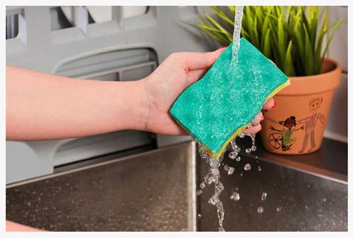 Zmywak VILEDA Glitzi Always Clean 2 sztuki na Arena.pl