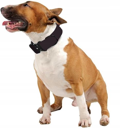 TAKTYCZNA OBROŻA QR DLA PSA MOCNA REGULOWANA POLICYJNA MOCNA 40-55cm L 4cm na Arena.pl