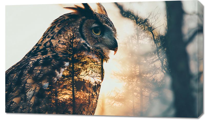 Obraz 100x60cm Sowi Duch zdjęcie 1