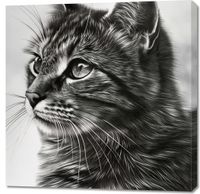 Obraz 90x90cm Kocie Wpatrzenie