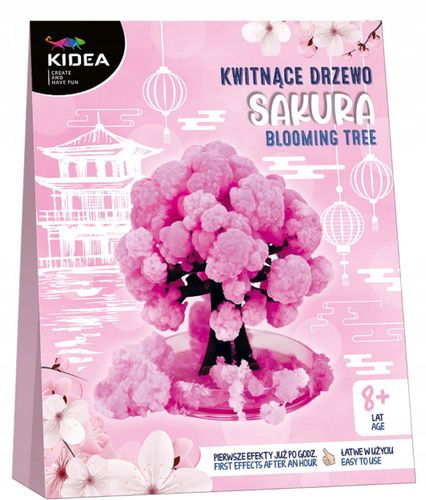 kwitnące drzewo sakura kidea 1122 na Arena.pl