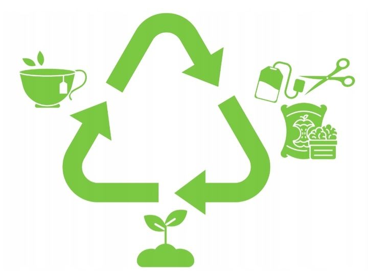 Herbata zielona Basilur Sencha Classics Ceylon - 100 x 1,5 g zdjęcie 4