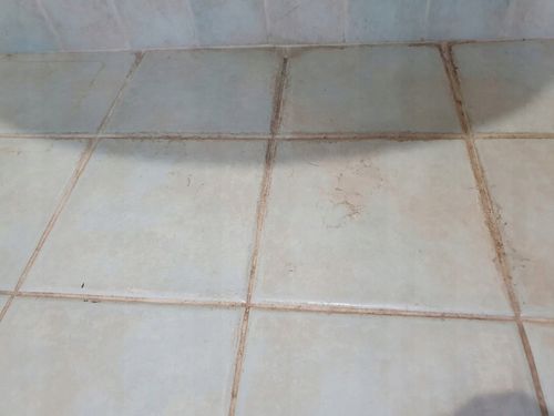 Hap Win FUGI Płyn Do Fug Spoin Usuwa Brud Szybkie Działanie Bez Szorowania na Arena.pl