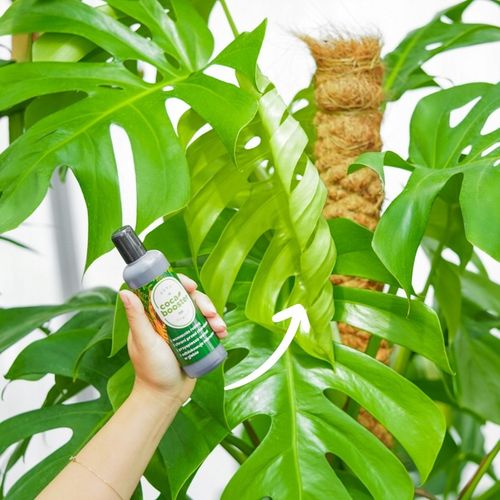 CocaBooster - STYMULATOR WZROSTU - Nawóz Odżywka Specjalistyczny Preparat na Arena.pl