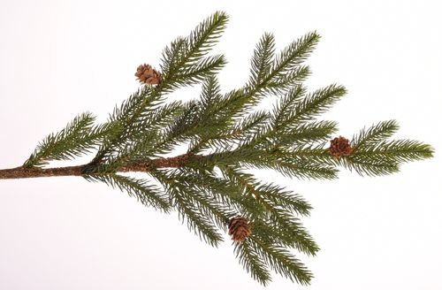 Gałąź sosnowa dekoracyjna 86 cm # na Arena.pl